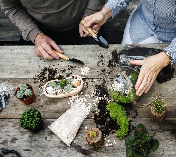 Quelle est la composition idéale d'un terrarium pour un boa des sables?