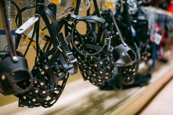 Muselière chien : élégance et sécurité pour votre compagnon