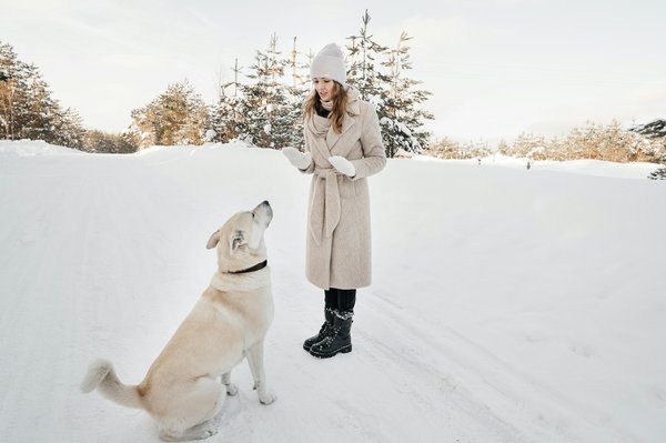 Comment éduquer son chien : astuces et conseils essentiels